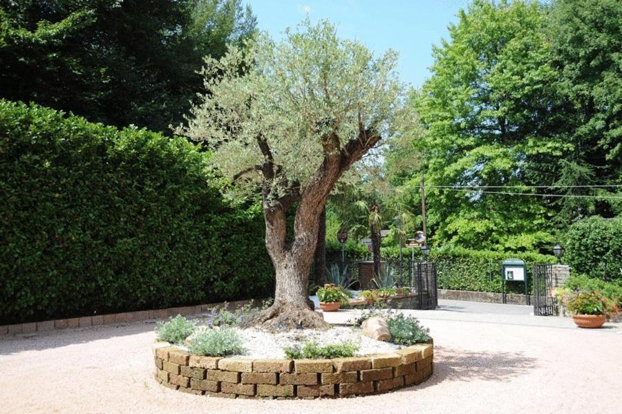 Villa Baroni Lomnago Buitenkant foto